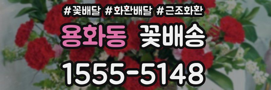용화동 꽃배송