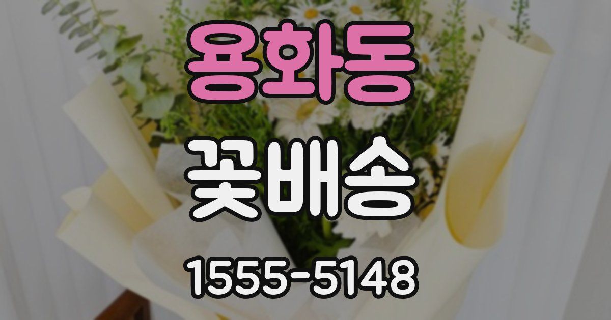용화동 꽃배송