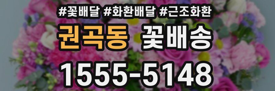 권곡동 꽃배송