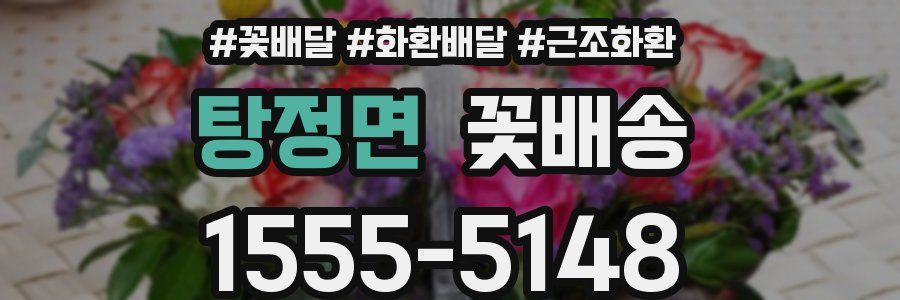 탕정면 꽃배송