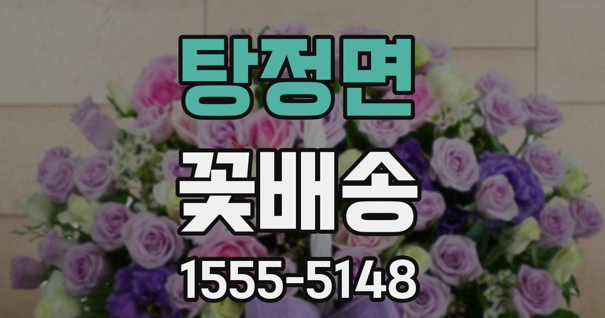 탕정면 꽃배송