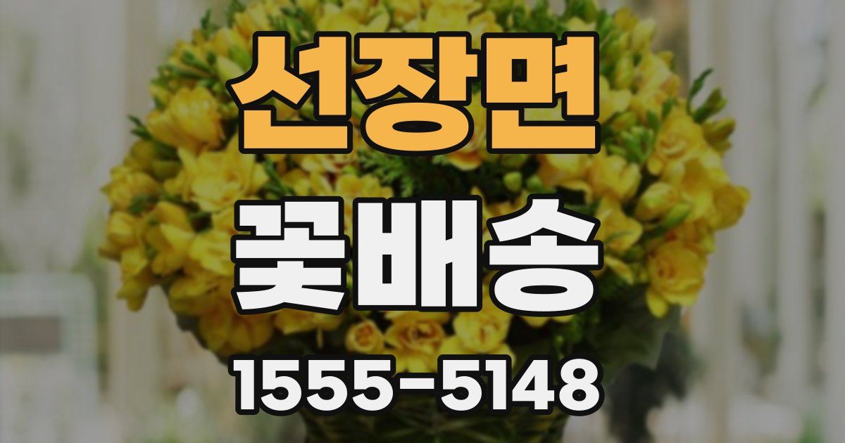 선장면 꽃배송