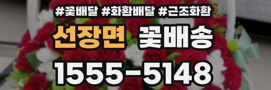 선장면 꽃배송