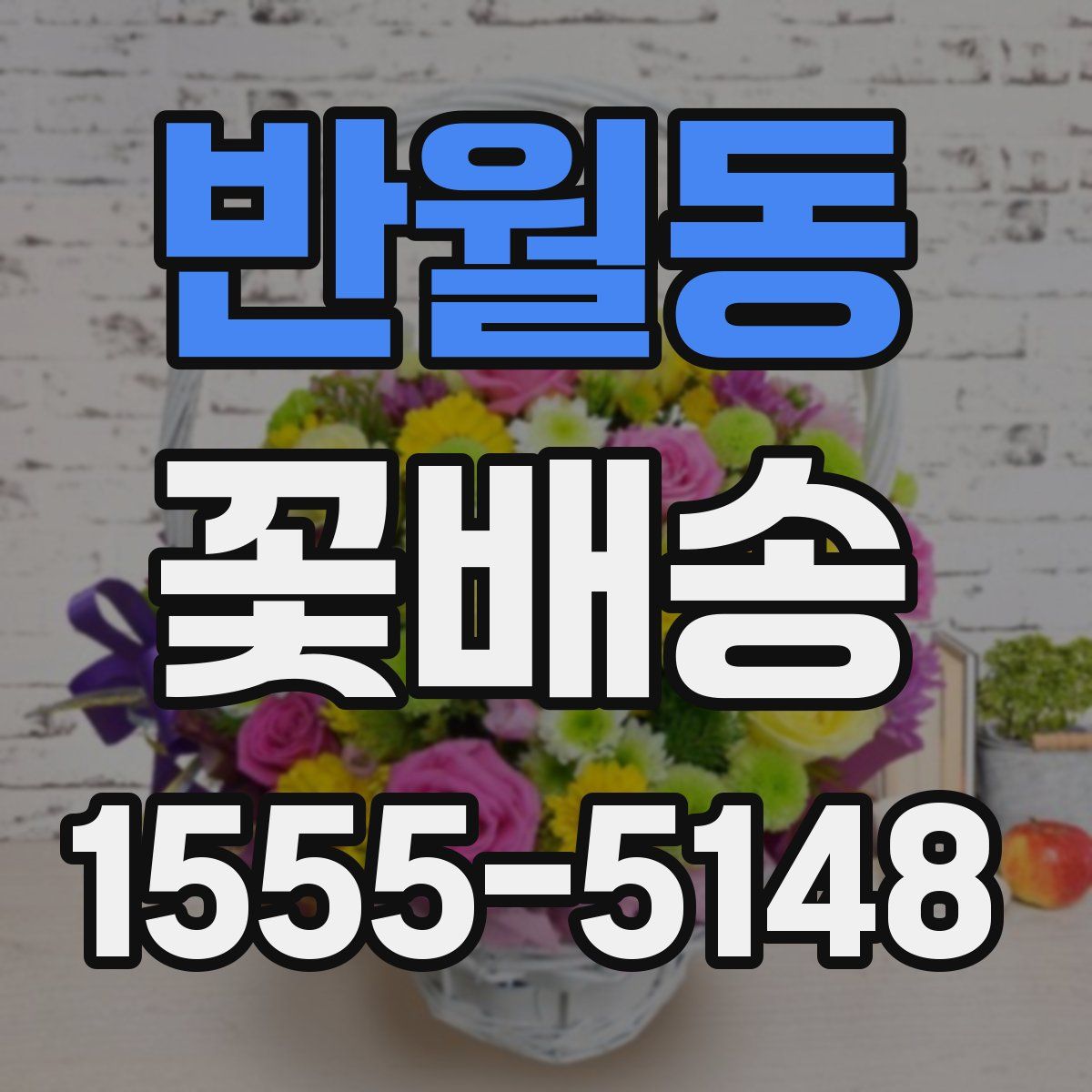반월동 꽃배송