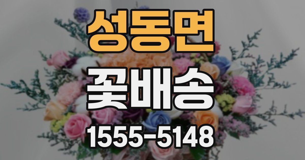 성동면 꽃배송
