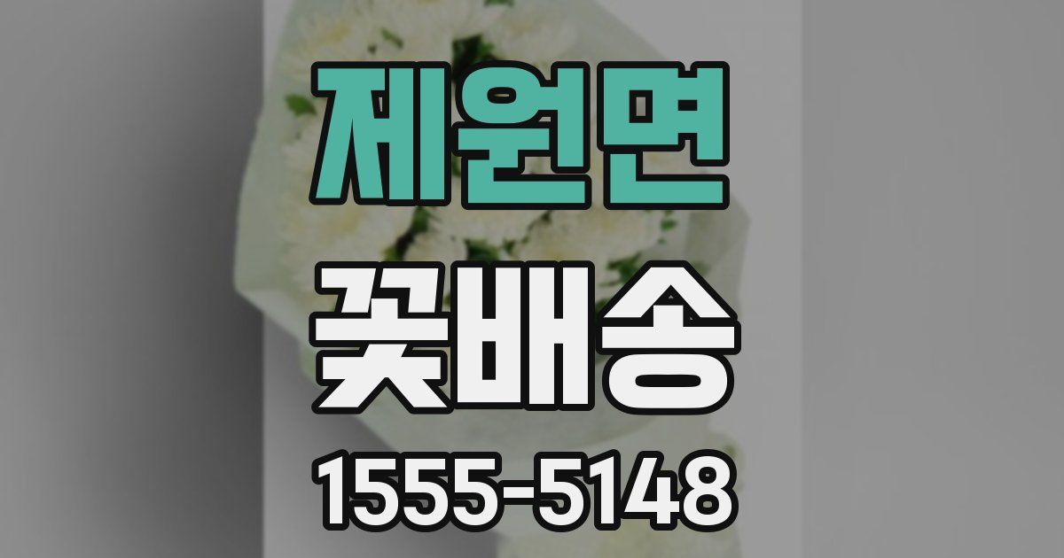 제원면 꽃배송