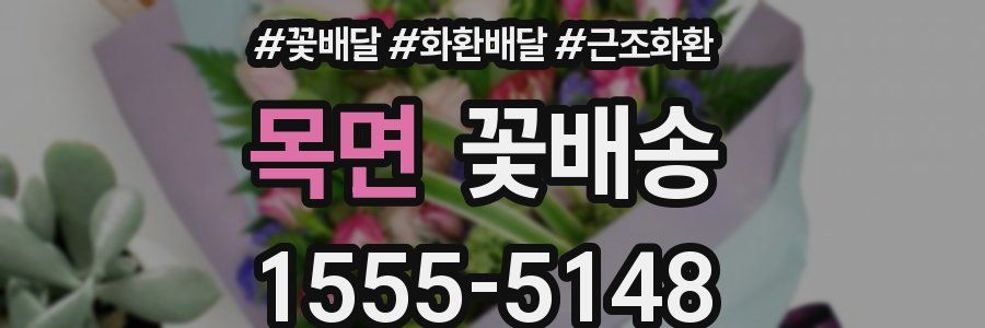 목면 꽃배송