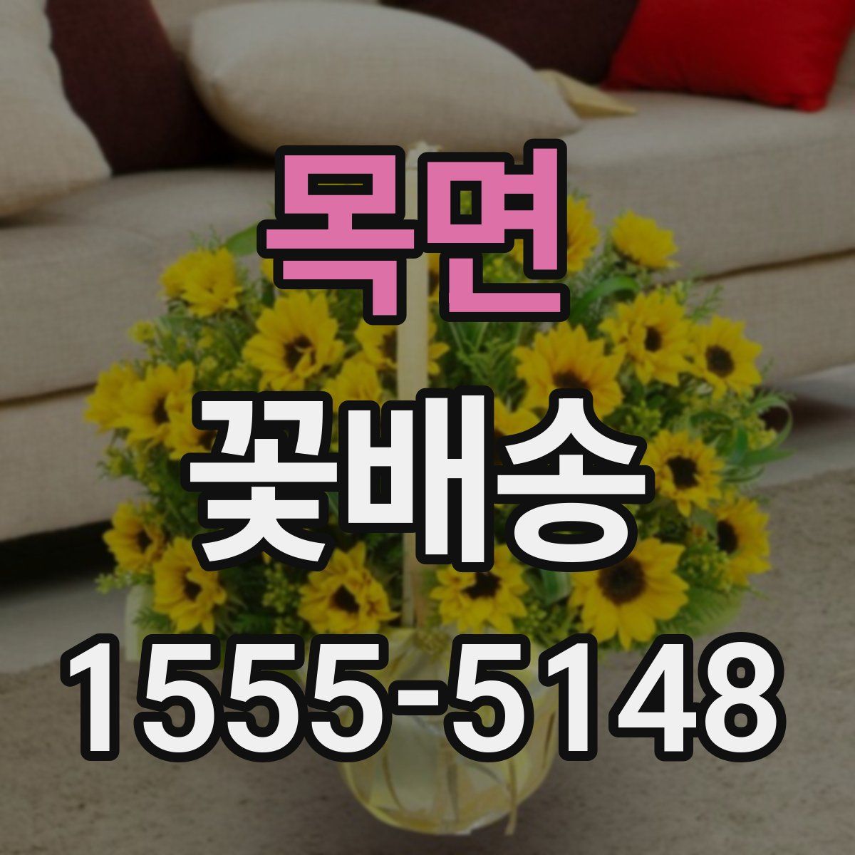 목면 꽃배송