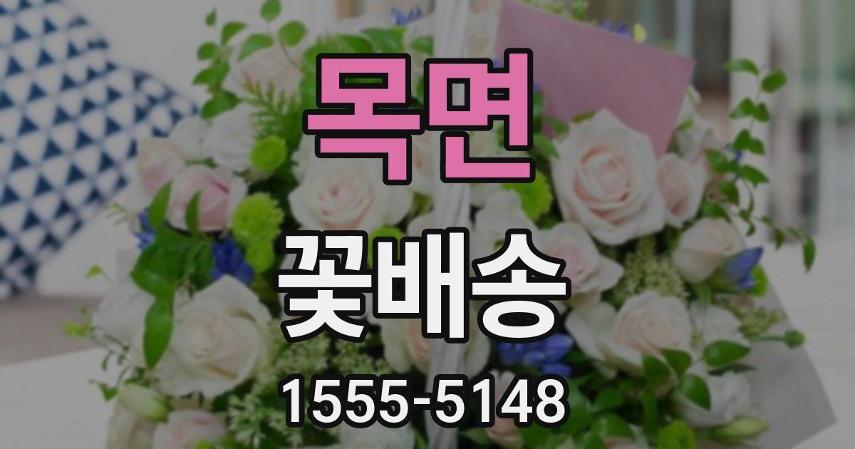 목면 꽃배송