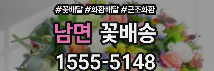 남면 꽃배송