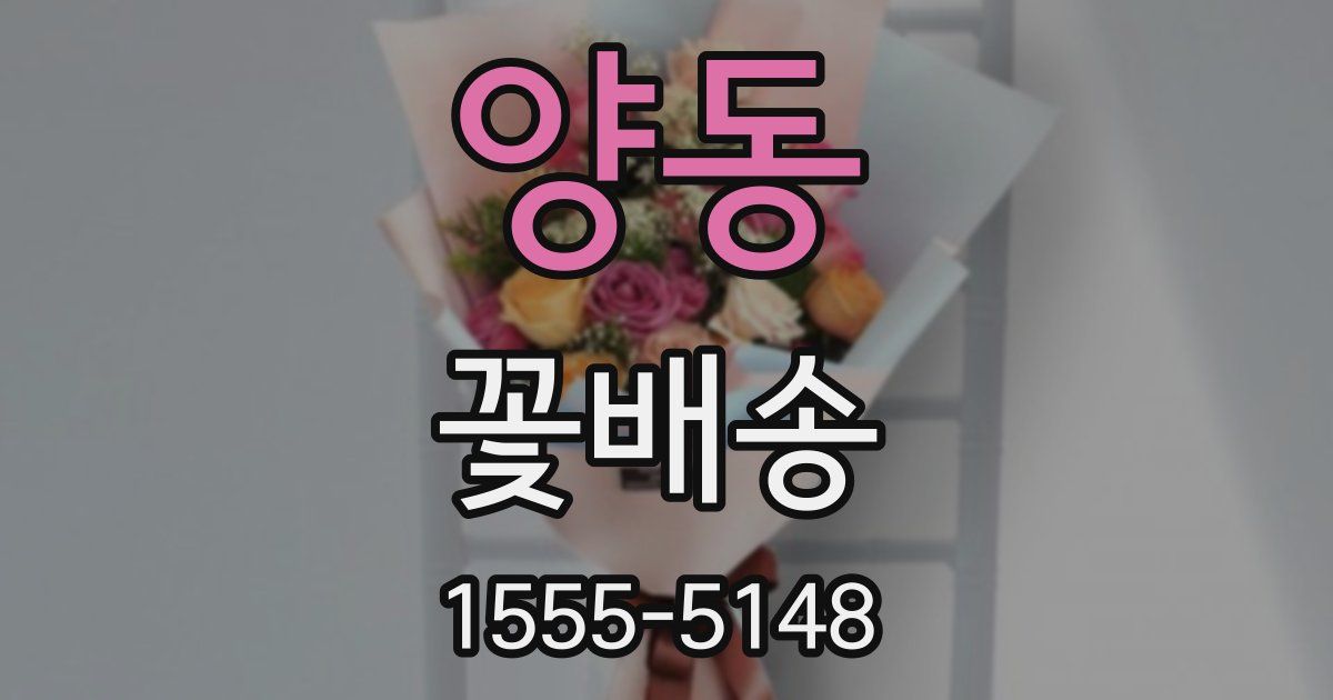 양동 꽃배송