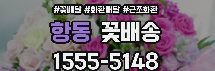 항동 꽃배송