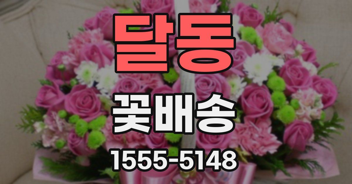 달동 꽃배송