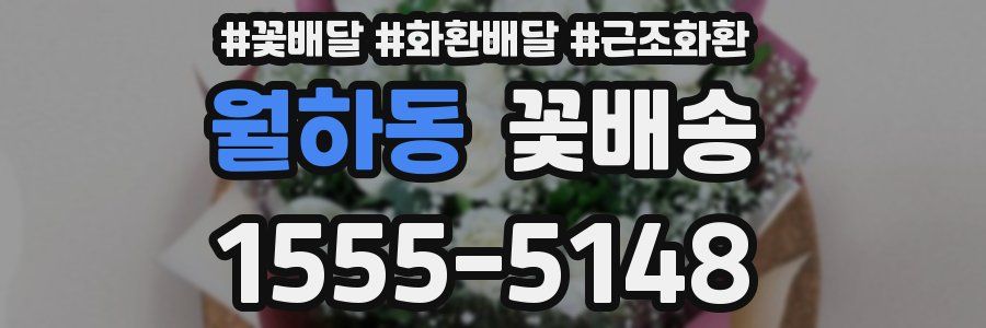 월하동 꽃배송