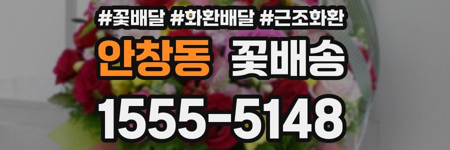 안창동 꽃배송