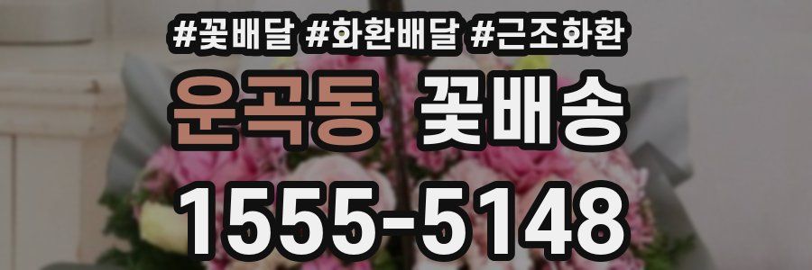 운곡동 꽃배송