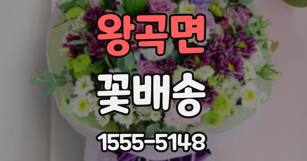 왕곡면 꽃배송