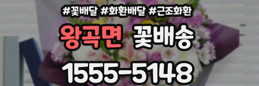 왕곡면 꽃배송