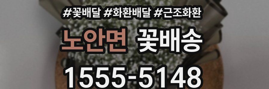 노안면 꽃배송