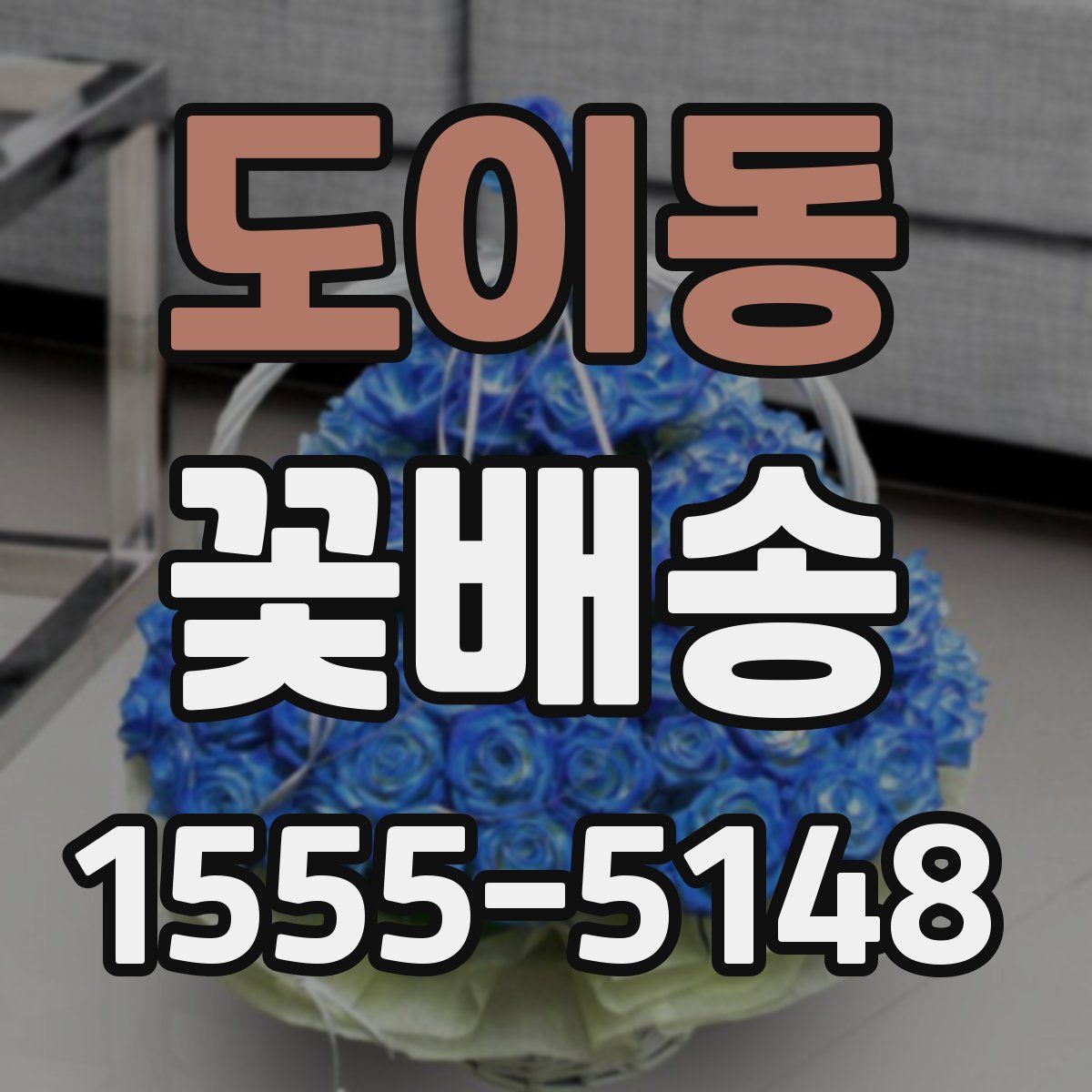 도이동 꽃배송