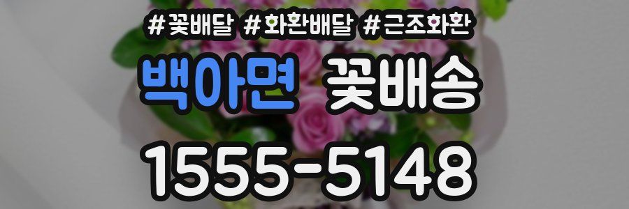 백아면 꽃배송