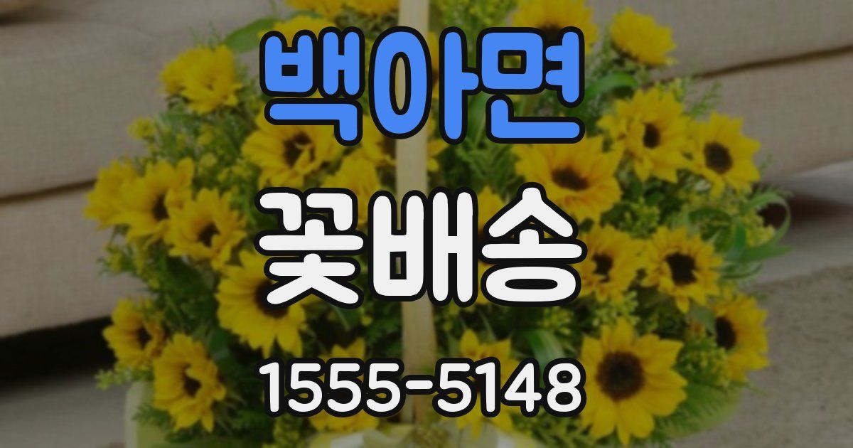 백아면 꽃배송