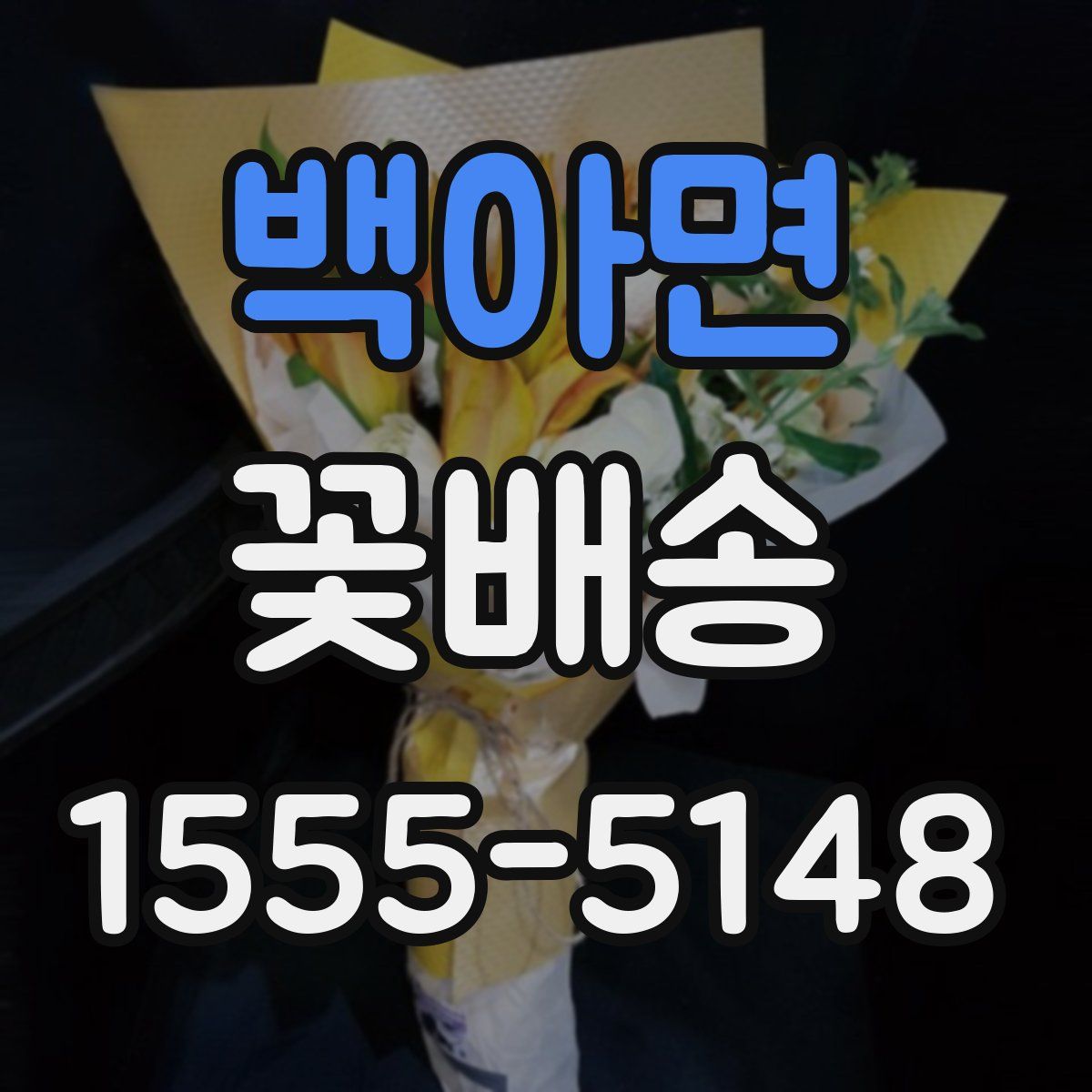 백아면 꽃배송