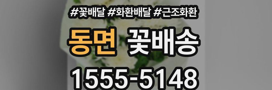 동면 꽃배송