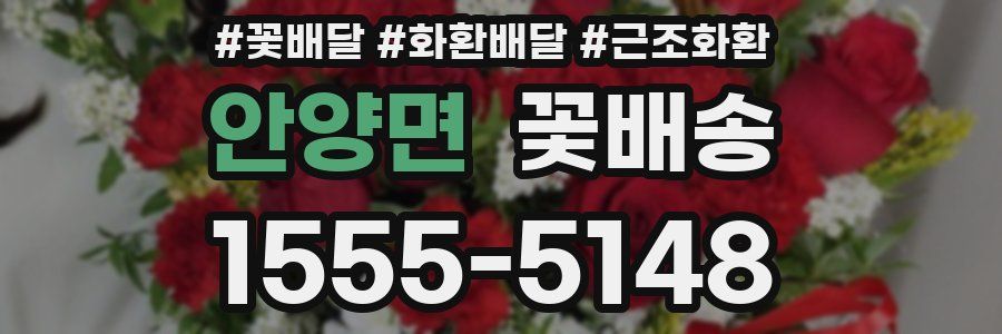 안양면 꽃배송
