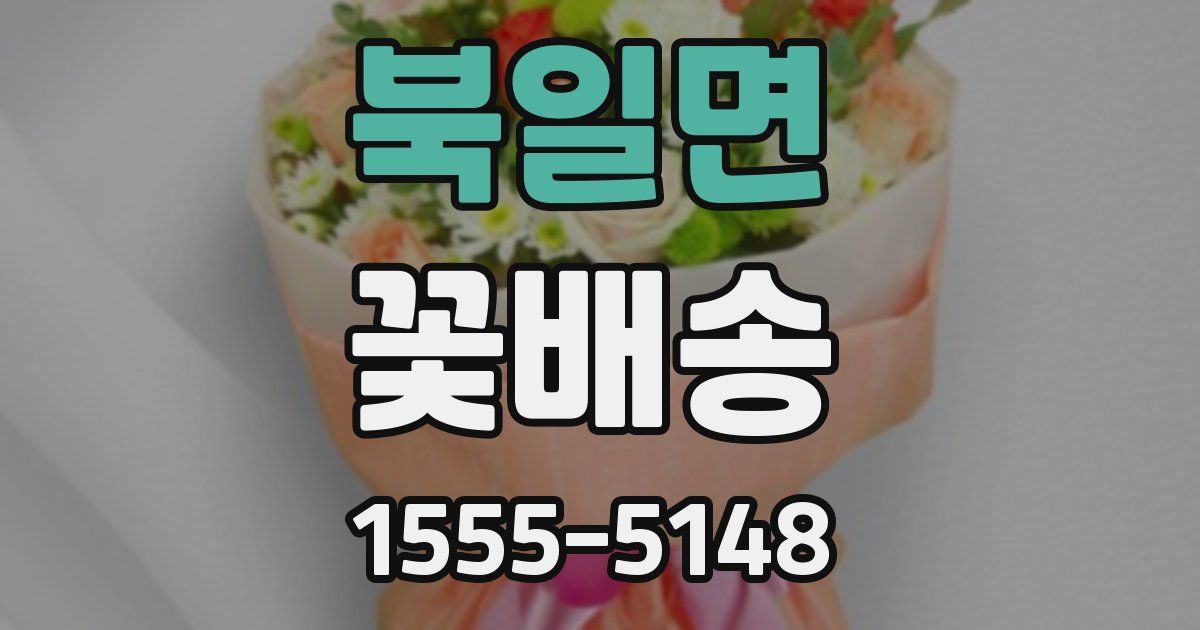 북일면 꽃배송