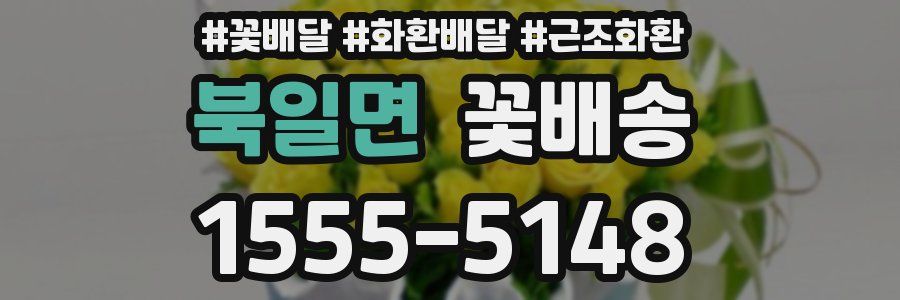 북일면 꽃배송