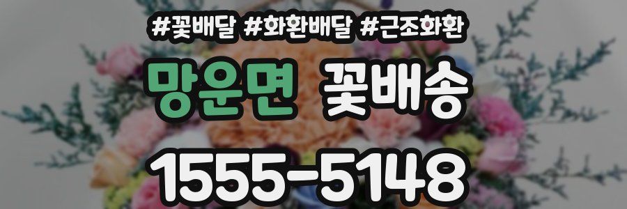 망운면 꽃배송