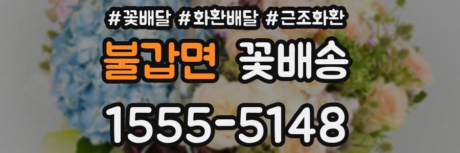 불갑면 꽃배송