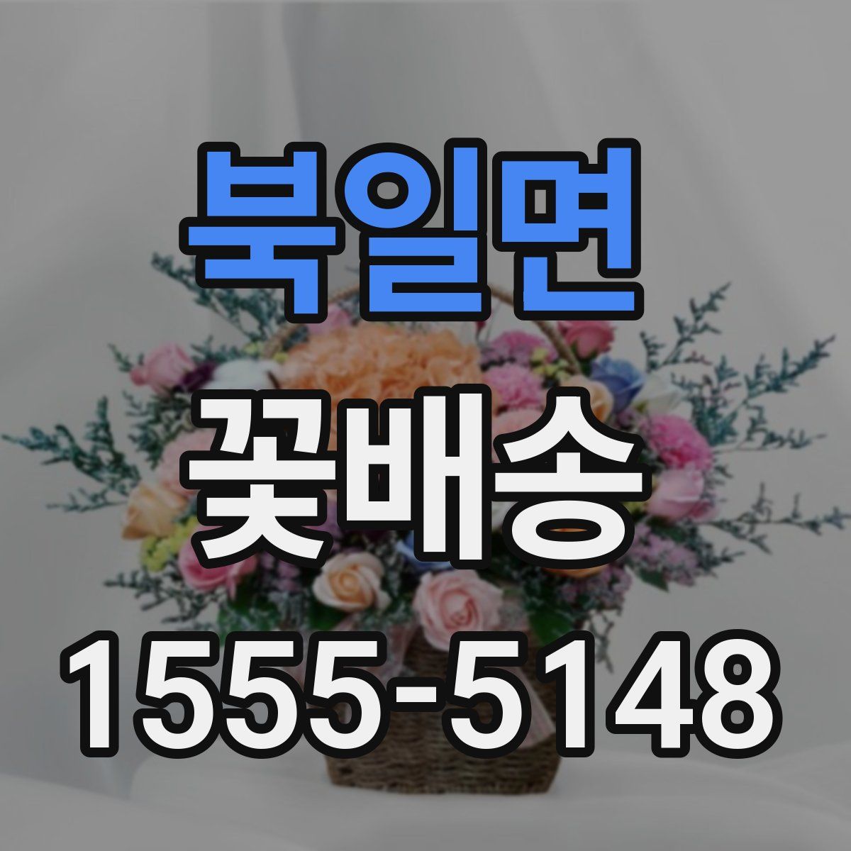 북일면 꽃배송