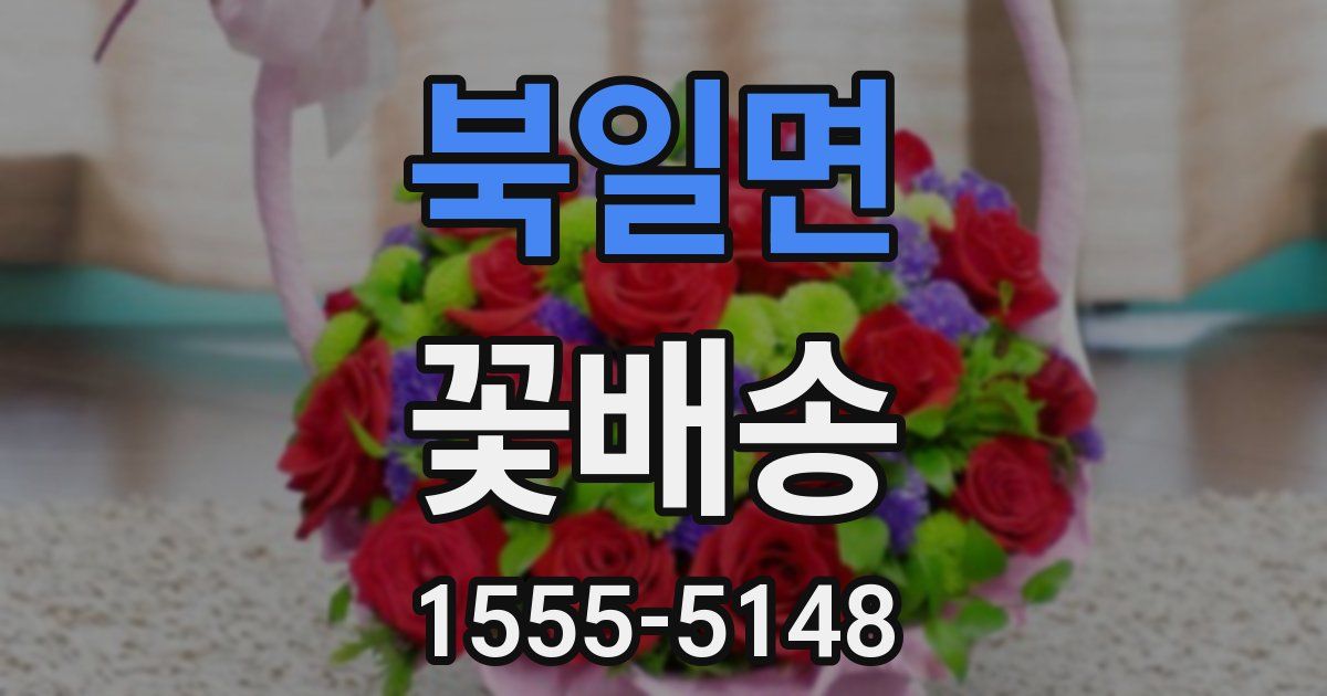 북일면 꽃배송