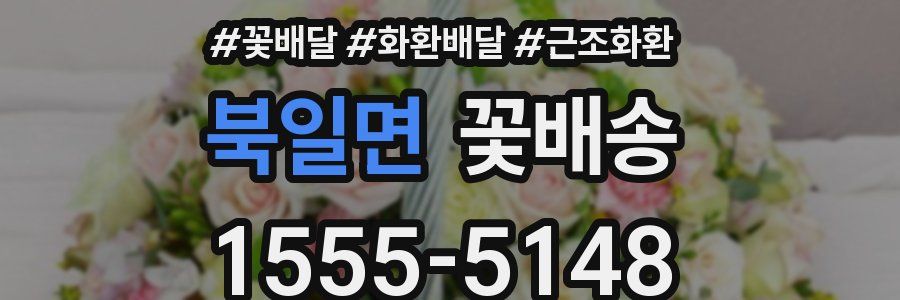 북일면 꽃배송