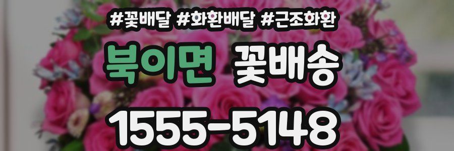 북이면 꽃배송