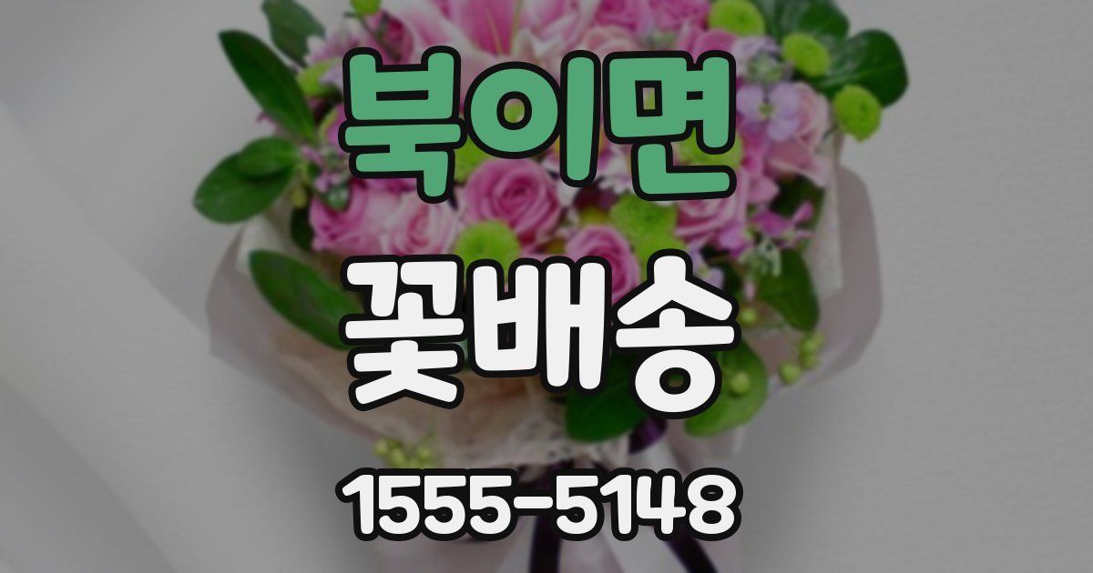 북이면 꽃배송