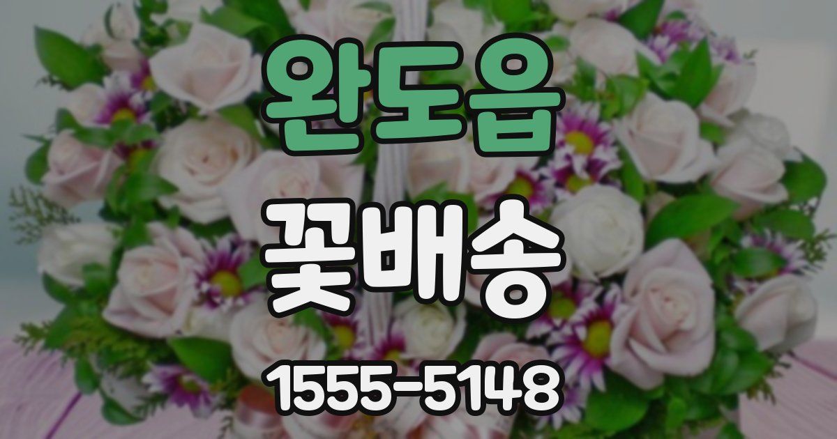 완도읍 꽃배송