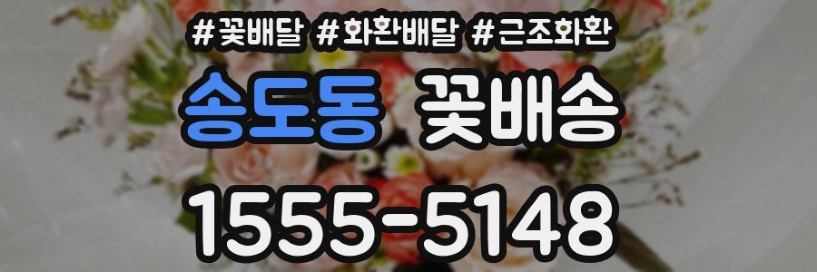 송도동 꽃배송