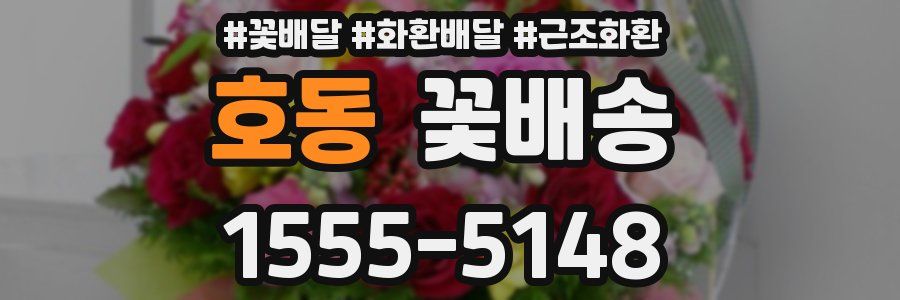 호동 꽃배송