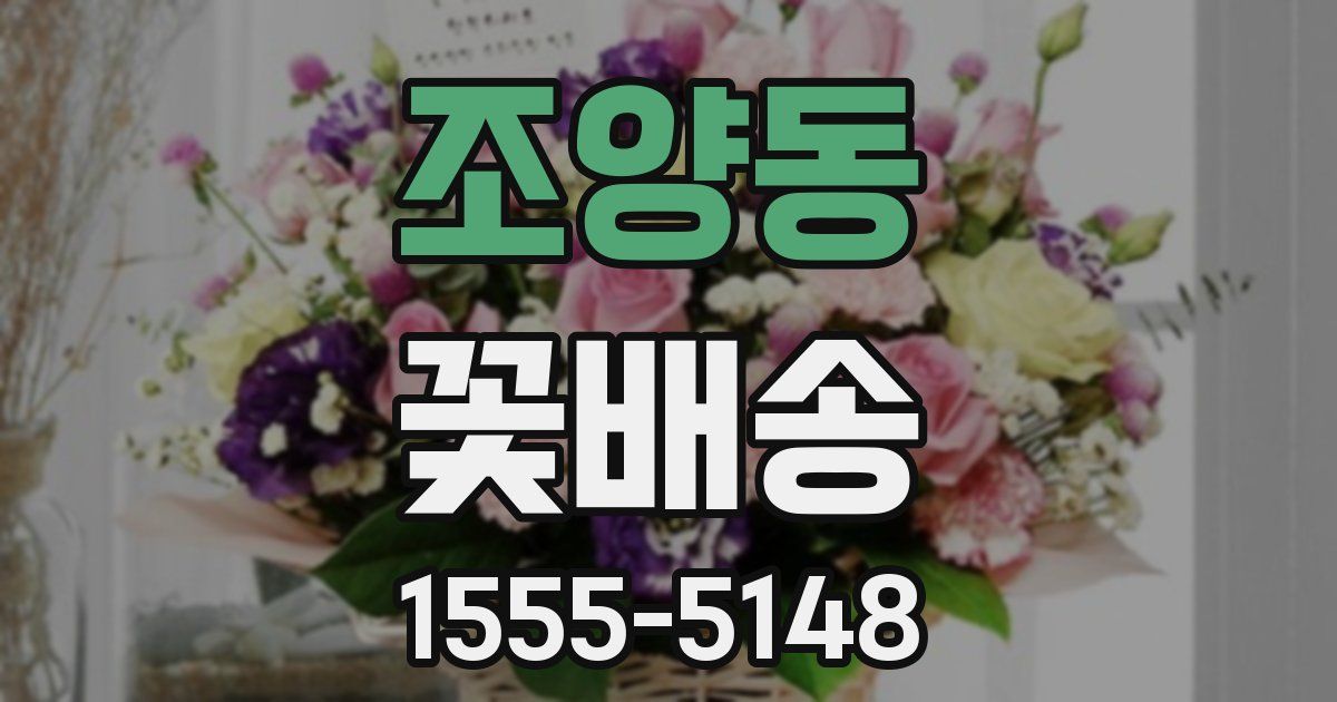 조양동 꽃배송