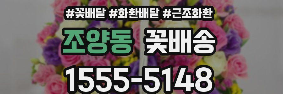 조양동 꽃배송