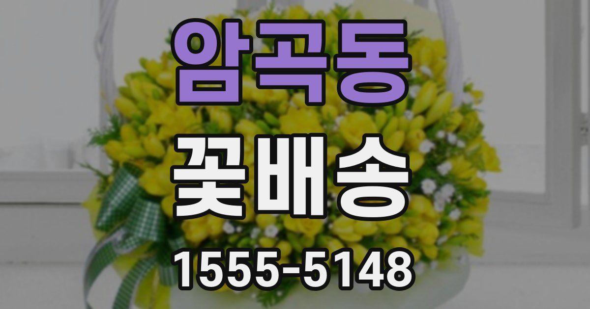암곡동 꽃배송