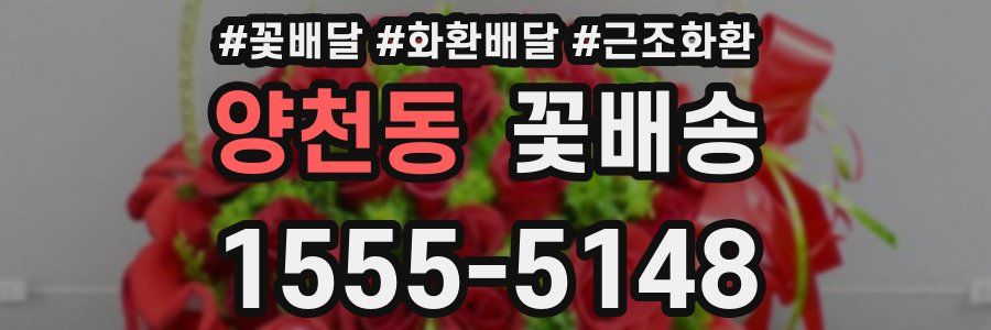 양천동 꽃배송
