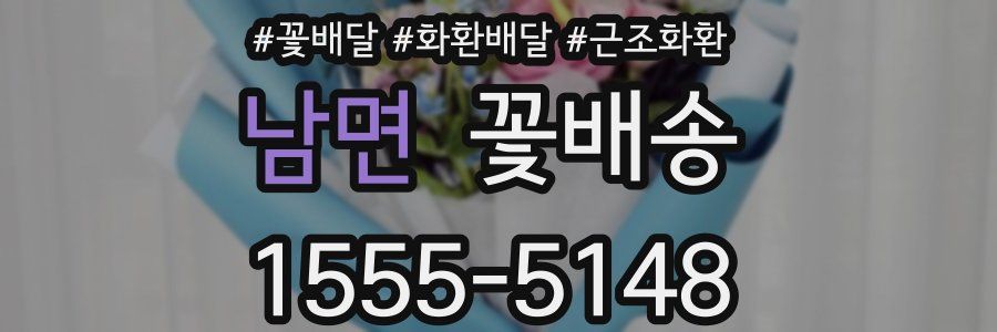 남면 꽃배송