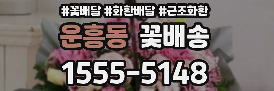 운흥동 꽃배송