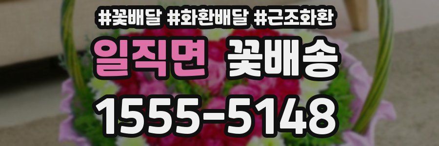 일직면 꽃배송