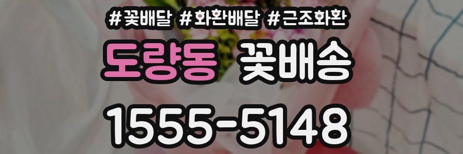 도량동 꽃배송