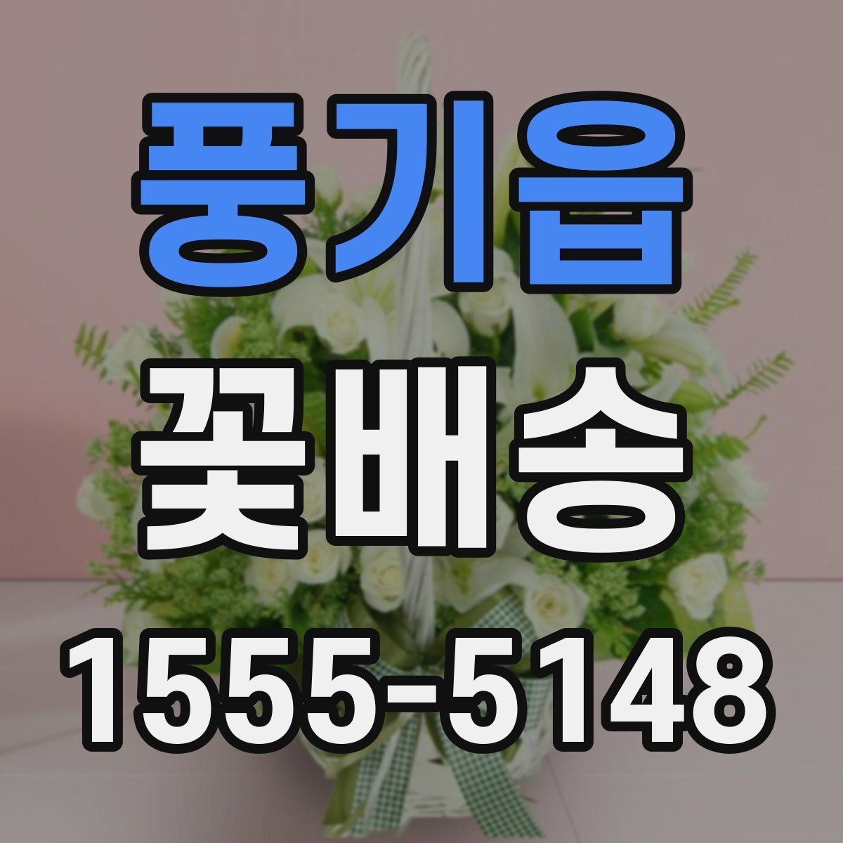 풍기읍 꽃배송